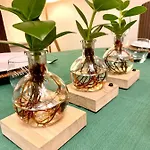 公寓 Residentie Rapallo With Fantastic Sea View! 奥斯滕德