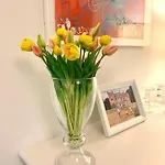 Residentie Rapallo With Fantastic Sea View! * 奥斯滕德