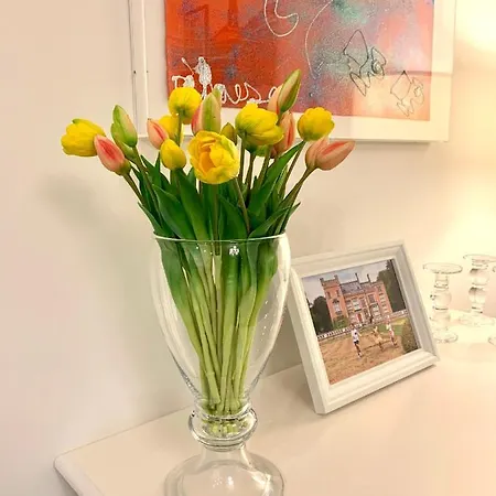 Residentie Rapallo With Fantastic Sea View! * Ostenda