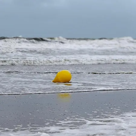 Residentie Rapallo With Fantastic Sea View! Ostenda