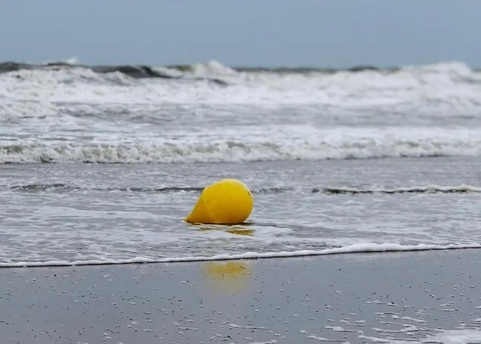 Residentie Rapallo With Fantastic Sea View! Остенде