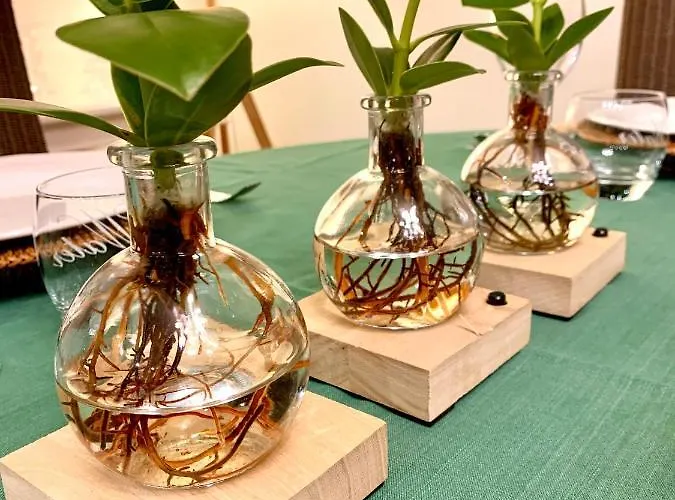 דירה Residentie Rapallo With Fantastic Sea View! אוסטנדה